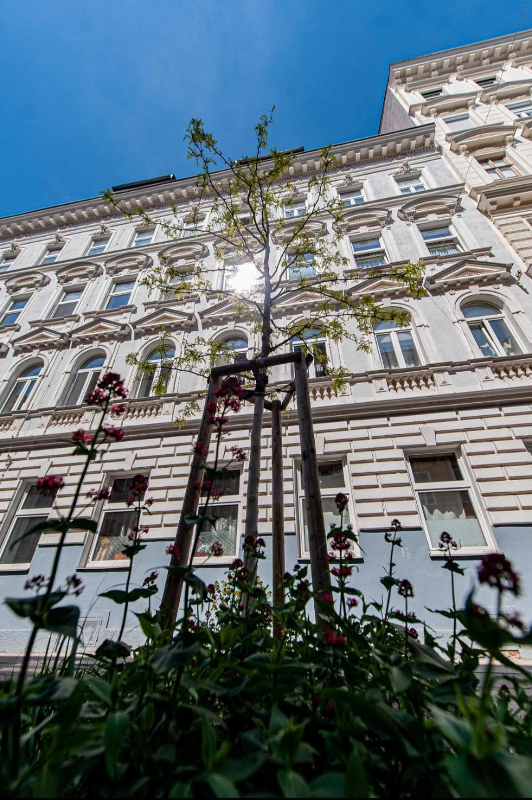 Vienna My City Apartment 2Bedroom Dış mekan fotoğraf